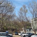 정미네식당 | 대구가창맛집 바삭한 감자전과 직화 닭불고기 정미네 주말 웨이팅 후기