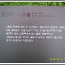 너와골 Daum카페