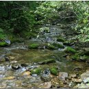 깊은산속 옹달샘 이미지