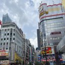 리호텔 | 호텔 그레이스리 신주쿠 고질라 호텔 숙박 후기 Hotel Gracery Shinjuku