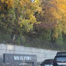 명월로에서 | 그랜드 워커힐 vs 비스타 워커힐 호캉스 후기(수영장, 헬스장, 리버뷰, 워커힐 멤버쉽, 워커힐 조식)