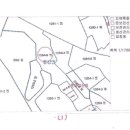 나주시 동강면 장동리 영산강변 아스팔트도로에 접한 생산관리지역 전 1,450평 이미지