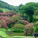 명옥헌원림2(입구) 이미지