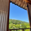 포석정식당 | 경기도 광주 남한산성 오리백숙 맛집 포석정 | 반려동물 동반 가능 개별룸 가족모임 추천 내돈내산 후기