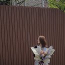 라플레르수 이미지