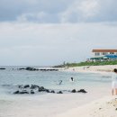 제주도