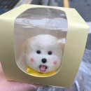 댕댕잇 네이버블로그