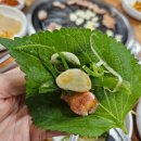 꽃바위한우마당 | 천천히 여유롭게 시작하는 6월 마지막주