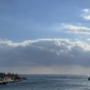 배들약국 이미지