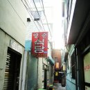 양순식당 티스토리