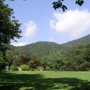 성주산휴양림 이미지