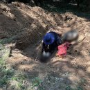 고향개장집 이미지