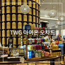 포도젤리 펫살롱 | [싱가포르 여행] 싱가포르 아이온 오차드 TWG 티젤리(곰젤리) 맛 추천
