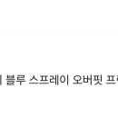 블루비(BlueB) 네이버블로그