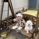 굿모닝션샤인
