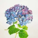 보테니컬아트 이미지