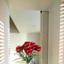 제주클래식위미 이미지