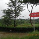 판관오리 이미지