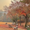 몽마르뜨공원 이미지