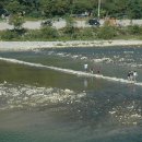 정선이야기 이미지