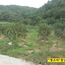 해드림부동산공인중개사무소 이미지