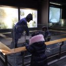 석탄2 | 태백석탄박물관 방문후기 아이와가볼만한곳