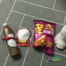 [애봉언니 주말일기 / 파주첼시아울렛 / 강남 리버사이드 호텔 / 원더윅스 ]
