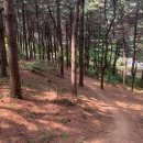 작동 동도센트리움 이미지