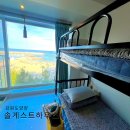 동해 바다 게스트하우스 | 강원도 양양 솔게스트하우스 바다뷰 도미토리 숙소이용 후기 (체크인장소,체크아웃,준비물)