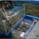 반도회관 이미지