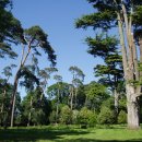 김철권농장 이미지