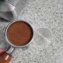 크린화이트 | 빈플랜트, 브레빌 876 호환 바텀리스 포터필터와 퍽스크린 사용후기