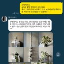 [웨딩 촬영] 천안아산 인물중심 스튜디오 “마레하우스” 강추 후기 (+ 상세 컨셉 포함, 조화 부케 추천)