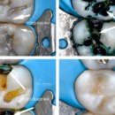 김동건바른치과의원 이미지