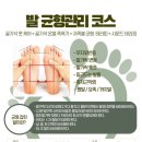 귀족미가 이미지