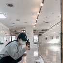 댕포유 이미지