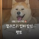 강아지집 | 대형견 집 방석 추천 펫토 강아지 방석 후기 내돈내산
