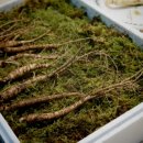 태한오토 이미지