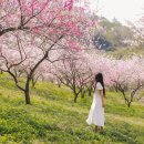 두메산골 농장 이미지