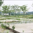 백마강카라반오토캠핑장 이미지