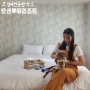 GS25 오션투유리조트점 | 속초 애견동반 숙소 오션투유리조트 펫룸 마운틴뷰+조식후기 삼포해수욕장 강아지
