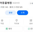 시니어 동물병원 이미지