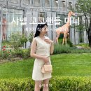 샤넬 코코핸들 미니 가방 착샷과 후기, 가격 정보
