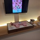 타임투반려동물 장례식장 이미지