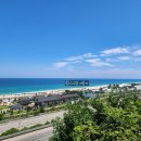 연하휴게소 | [동해] 여긴 꼭 들러야 해! 동해휴게소, 명품커피빵 리얼 시식기