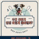 피피독 이미지
