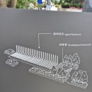 서울 가볼 만한 곳 광화문 감사의 정원 프리덤홀 감동적인 방문 후기