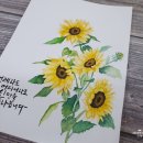 기본부터 쉽게 배우는 수채화 이미지