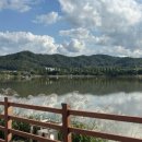 멜로우퍼피 이미지