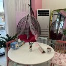 프라독 쿡 이미지